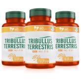 KIT TRIBULLUS TERRESTRIS  - 180 Cápsulas (COMPRE 3 COM FRETE 0)